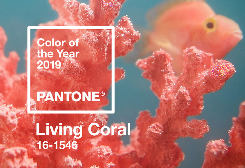 Pantone Colour of The Year 2019