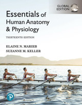 Essentials of Human Anatomy & Physiology, Global Edition, 13th edition - eTextbook