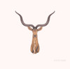 Kudu Antelope Head Wall Mount Africa Safari Decor