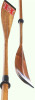 Harvard Regatta Varsity Oar College Eight Racing Rowing Shell