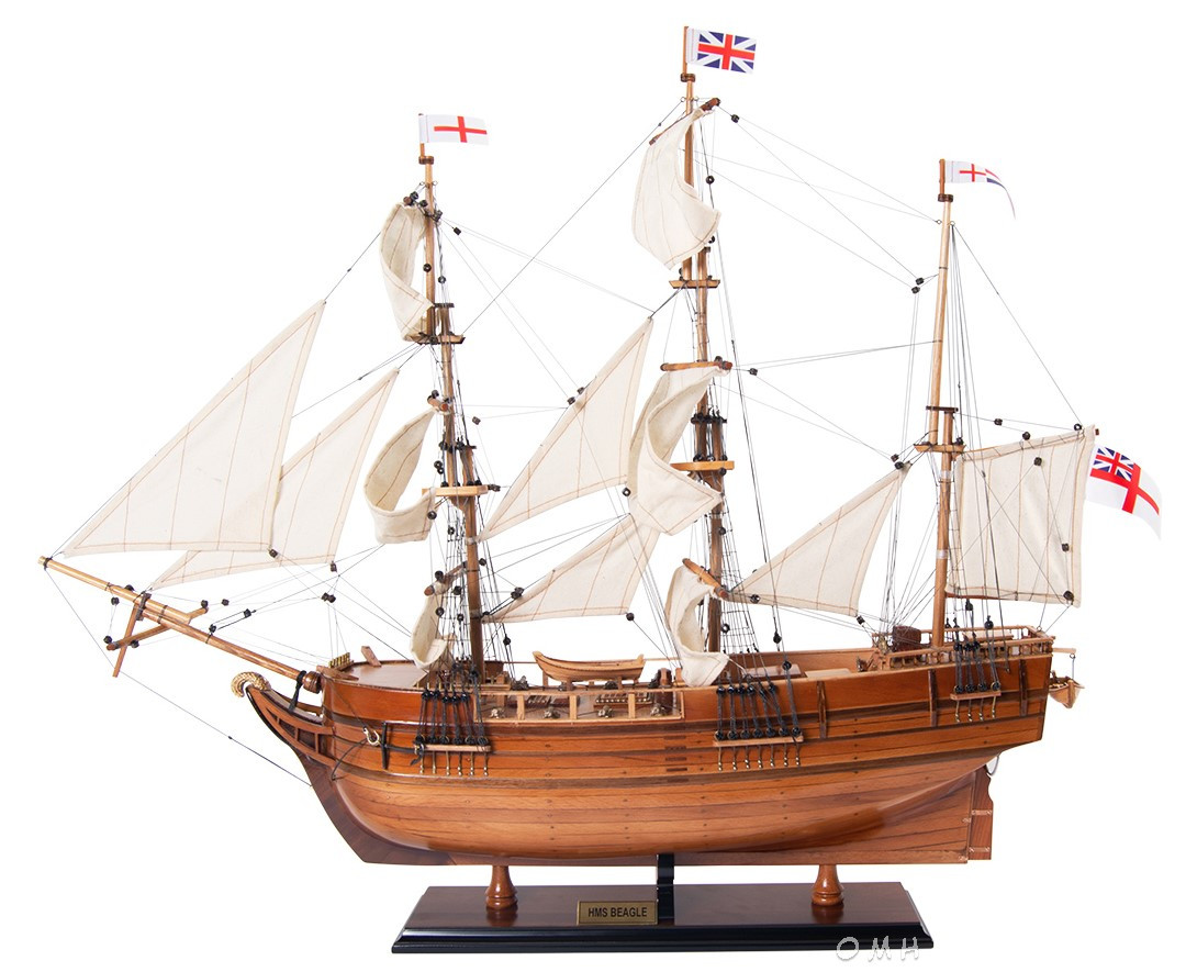 Charles Darwin HMS Beagle Wooden Tall Ship Model 32