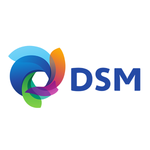 DSM