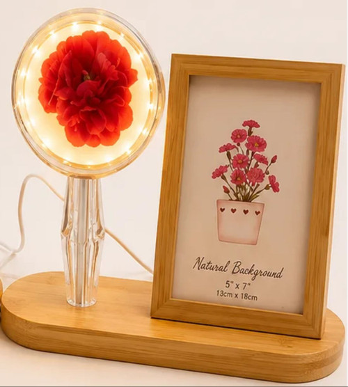 Preserved Flower Ball Frame_Red