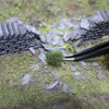 WWScenics W3T-AU6 All Scale Autumn Self-Adhesive Grass Tufts 6mm x103