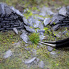 WWScenics W3T-SP4 All Scale Spring Self-Adhesive Grass Tufts 4mm x103