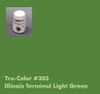 Tru-Color Paint 303 IT LIGHT GREEN