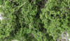 Woodland 1131 Fine-Leaf Foliage Medium Green