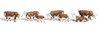 Woodland Scenics A2144 N Scale Hereford Cows