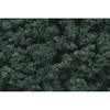 Woodland Scenics FC1647 Bushes Dark Green Shaker