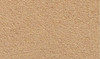 Woodland Scenics RG5145 Desert Sand Project Sheet