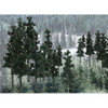 Woodland Scenics TR1580 2 1/2" - 4" Conifer Colors (33)