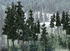 Woodland Scenics TR1580 2 1/2" - 4" Conifer Colors (33)