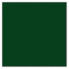 Tru-Color Paint 78 REA GREEN 1OZ