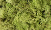 Woodland Scenics L162 Lichen Light Green