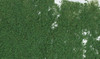 Woodland Scenics F53 Foliage Dark Green