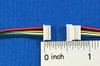 NCE 311 6 PIN WIRING HARNESS 4PK