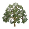 JTT Scenery 96043 O Scale Professional Tree, Live Oak JTT Scenery 96043 O Scale Professional Tree, Live Oak
