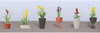 JTT Scenery 95567 FLOWER PLANTS POTTED ASSORTMENT 2, HO-scale, 6/pk