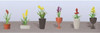 JTT Scenery 95567 FLOWER PLANTS POTTED ASSORTMENT 2, HO-scale, 6/pk