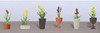 JTT Scenery 95567 FLOWER PLANTS POTTED ASSORTMENT 2, HO-scale, 6/pk
