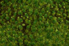 Bachmann 32922 All Scales Medium Green Tufted Grass Mat One 11.75" X 7.5" Sheet SceneScapes