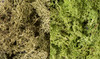 Woodland Scenics L167 Lichen Light Green Mix