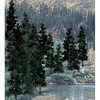 Woodland Scenics TR1581 4" - 6" Conifer Colors (24)