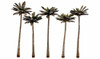 Woodland Scenics TR3598 4 3/4" - 5 1/4" Palm Trees (5)