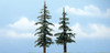 Woodland Scenics TR1628 Lodgepole Premium Trees (2)