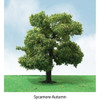 JTT Scenery 92310 HO Scale Sycamore 3.5" To 4" Pro-Elite Trees (2)