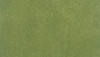 Woodland Scenics RG5171 Spring Grass Small Roll