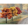 Woodland Scenics TR1577 3" - 5" Fall Colors (14)