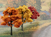 Woodland Scenics TR1577 3" - 5" Fall Colors (14)