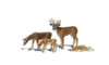 Woodland Scenics A2543 G Scale Buck & Family