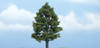 Woodland Scenics TR1608 4" Sweetgum