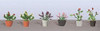 JTT Scenery 95566 FLOWER PLANTS POTTED ASSORTMENT 1, O-scale, 6/pk