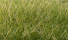 Woodland Scenics FS626 Static Grass Medium Green 12mm