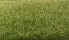 Woodland Scenics FS618 Static Grass Medium Green 4mm