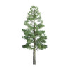 JTT Scenery 94290 Z Scale Pine 1.5'' Pro Professional Trees (6)