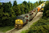 Scenic Express 0221 N Scale Supertree' Starter Kit