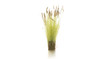 Woodland Scenics 6633 All Scale Scenery Cattails Tufts