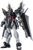 Bandai 66765 ROBOT SPIRITS GAT-X105E+AQM/E-X09S STRIKE NOIR GUNDAM ver. Figure