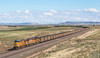 Rapido 169063A HO Scale UP Building America AutoFlood III Coal Hopper #3