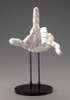 Kotobukiya AT036 Artist Support Item Hand Model Men's/L White Takahiro Kagami