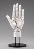 Kotobukiya AT036 Artist Support Item Hand Model Men's/L White Takahiro Kagami