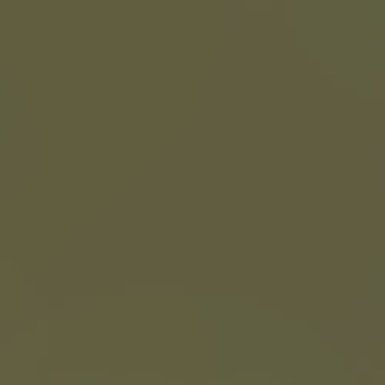 Tru-Color Paint 142 ERIE LACKAWANNA GRAY 1OZ