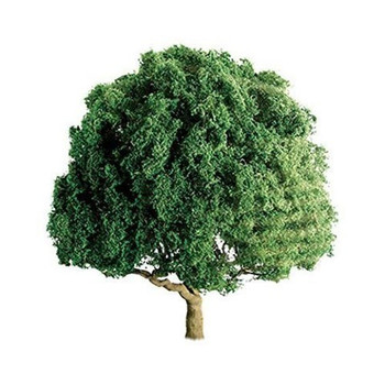 JTT Scenery 94264 N Scale OAK 3'' PRO, 2/pk