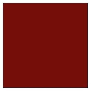 Tru-Color Paint 53 TUSCAN RED 1OZ