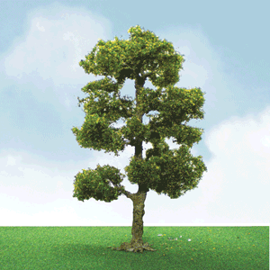JTT Scenery 92206 N Scale Downy Birch Trees 3-Pack Model Railroad Trees