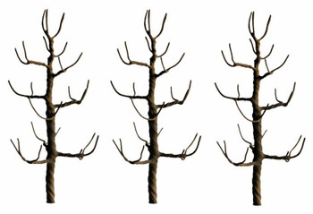 JTT Scenery 94124 HO Scale Premium Sycamore Tree Armatures 4" 3-Pack Diorama